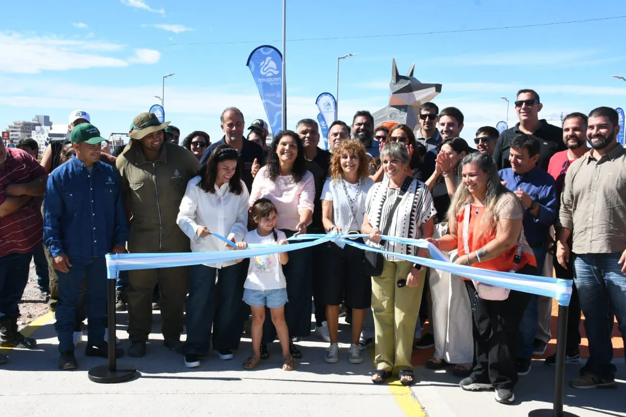 WhatsApp Image 2026-02-03 at 11.42.21 AM