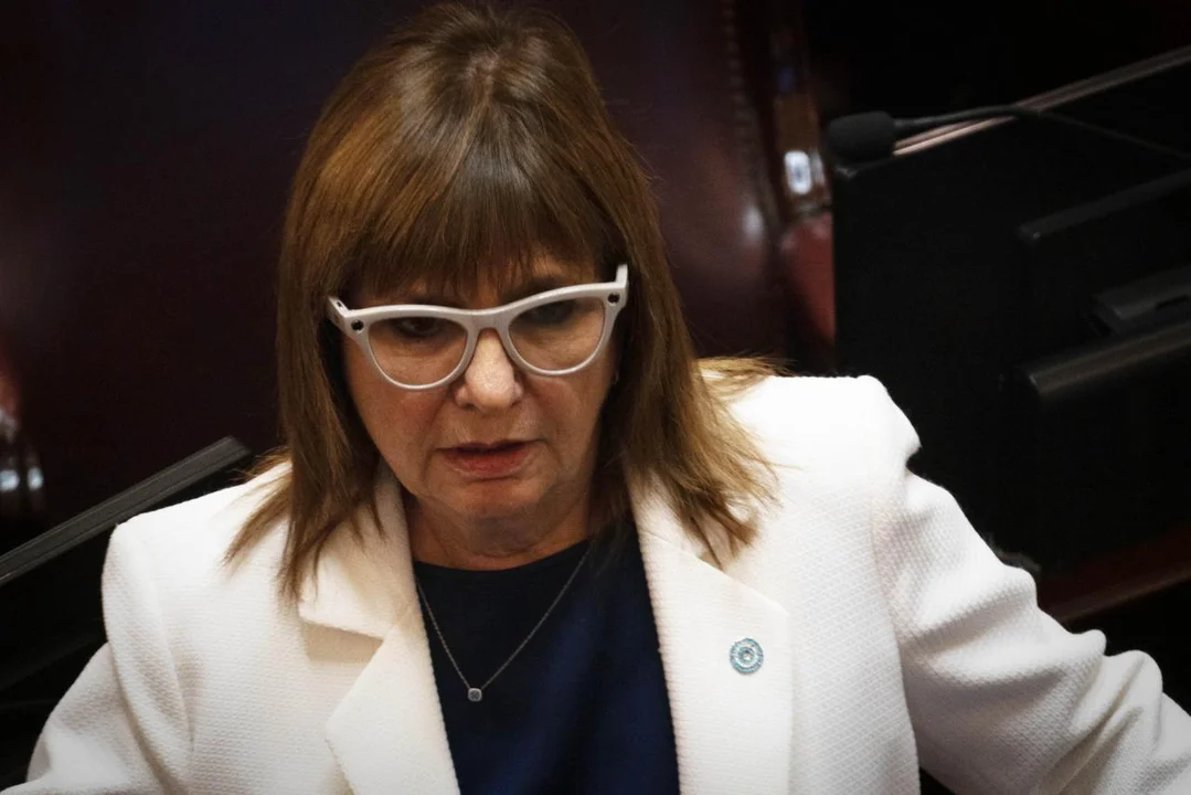 Bullrich Senado