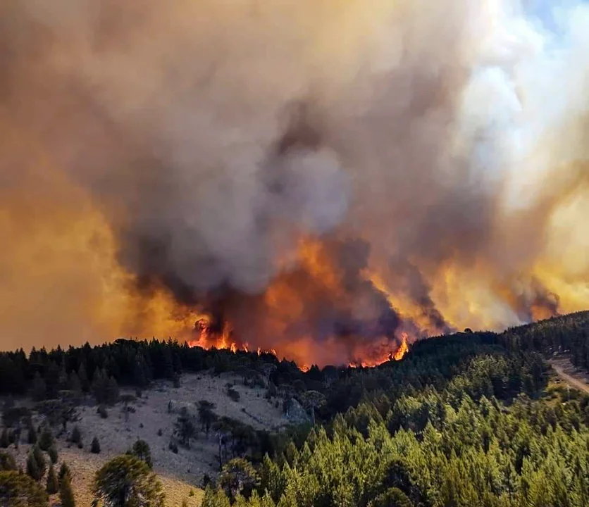 Incendios gobernadores