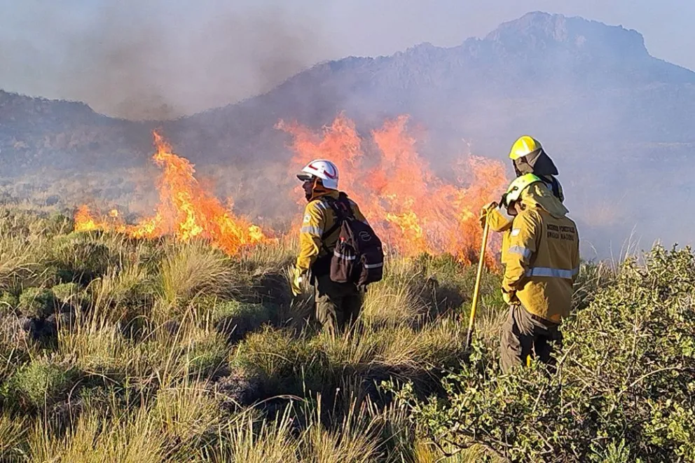 incendio-forestal-bio-bio