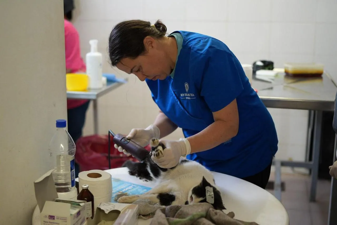 WhatsApp Image 2025-12-27 at 11.23.52 AM