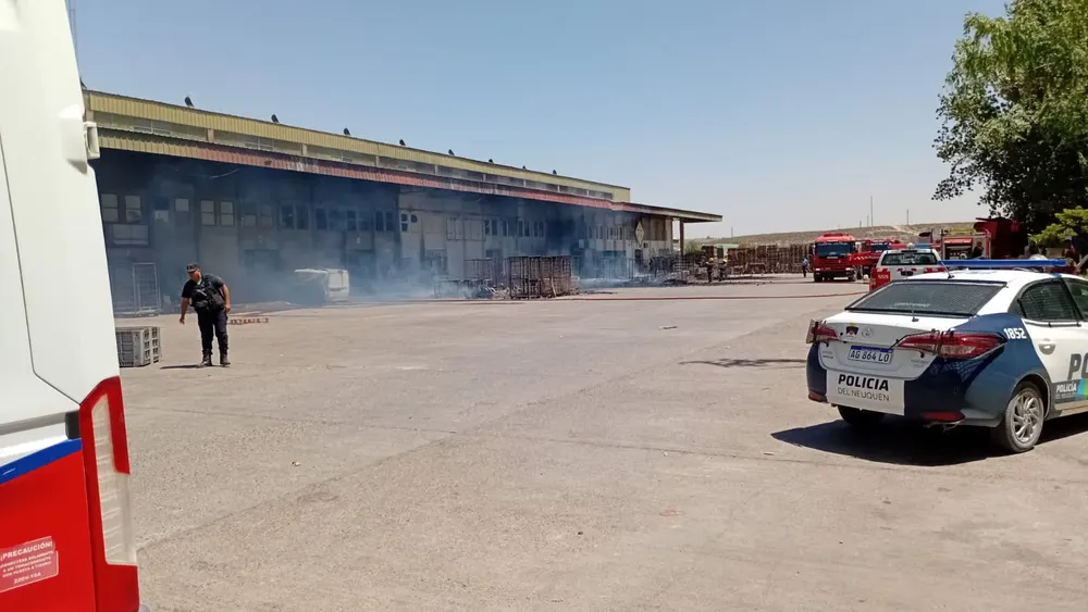 WhatsApp Image 2025-12-26 at 3.36.01 PM